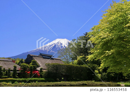 忍野八海・富士山（山梨県・忍野村） 116553458