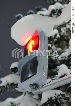 雪の積もった日本の歩行者信号機 雪の積もった日本の歩行者信号機 116553739