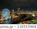 観覧車が見える夜景 116553968