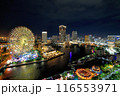 観覧車が見える夜景 116553971