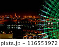 観覧車が見える夜景 116553972