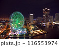 観覧車が見える夜景 116553974