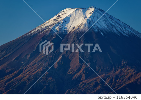 三ツ峠から見る朝の富士山 三ツ峠から見る朝の富士山 116554040