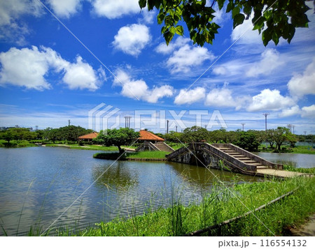 夏空と琉球風の池 116554132