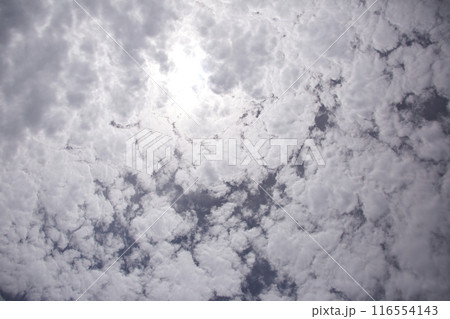 幻想的な雰囲気の白い雲 116554143