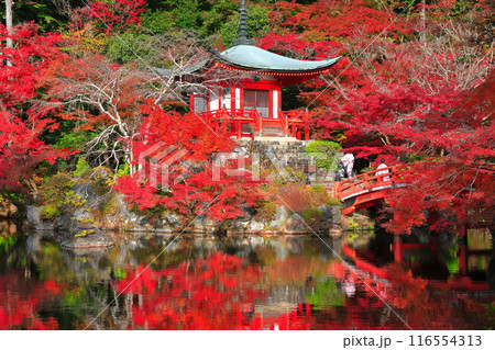 【京都府】シンメトリーな醍醐寺の紅葉(弁天池と弁天橋と弁天堂) 【京都府】シンメトリーな醍醐寺の紅葉(弁天池と弁天橋と弁天堂) 116554313