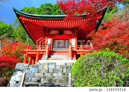 【京都府】晴天の醍醐寺の弁天堂の紅葉 【京都府】晴天の醍醐寺の弁天堂の紅葉 116554318