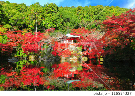 【京都府】シンメトリーな醍醐寺の紅葉(弁天池と弁天橋と弁天堂) 【京都府】シンメトリーな醍醐寺の紅葉(弁天池と弁天橋と弁天堂) 116554327