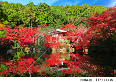 【京都府】シンメトリーな醍醐寺の紅葉(弁天池と弁天橋と弁天堂) 【京都府】シンメトリーな醍醐寺の紅葉(弁天池と弁天橋と弁天堂) 116554330