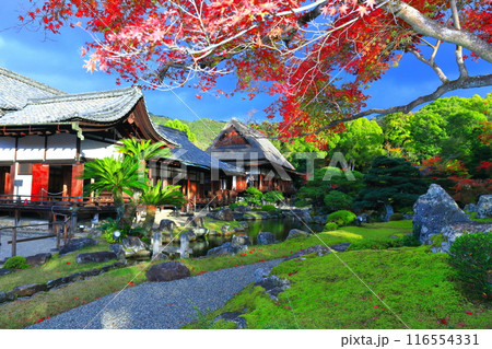 【京都府】醍醐寺 三宝院庭園の紅葉と虹 【京都府】醍醐寺 三宝院庭園の紅葉と虹 116554331