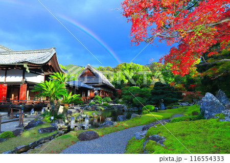 【京都府】醍醐寺 三宝院庭園の紅葉と虹 116554333