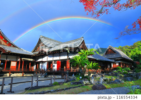 【京都府】醍醐寺 三宝院庭園の紅葉と虹 116554334