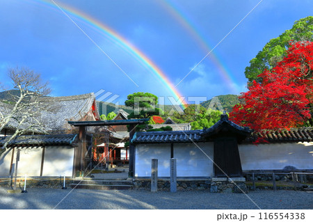 【京都府】醍醐寺 三宝院庭園の紅葉と虹 116554338