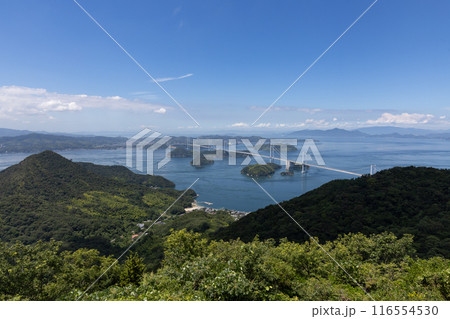 来島海峡大橋を望む瀬戸内海の景観 来島海峡大橋を望む瀬戸内海の景観 116554530