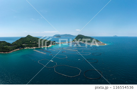 柏島(高知県大月町) 柏島(高知県大月町) 116554536