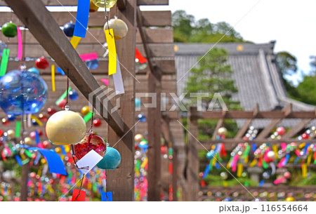 静岡県袋井 可睡斎 風鈴まつり 静岡県袋井 可睡斎 風鈴まつり 116554664