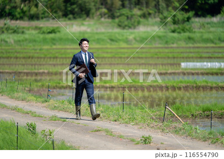 田んぼとビジネスマン 116554790