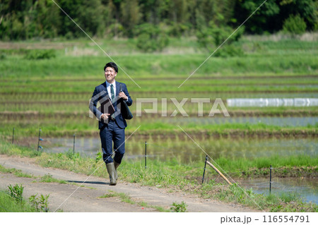 田んぼとビジネスマン 田んぼとビジネスマン 116554791