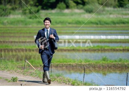 田んぼとビジネスマン 田んぼとビジネスマン 116554792