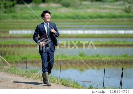 田んぼとビジネスマン 116554793