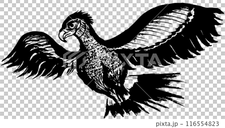 Eagle, hand-drawn illustration Eagle, hand-drawn illustration 116554823