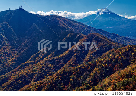 清八山から見る紅葉の三ツ峠と富士山 116554828
