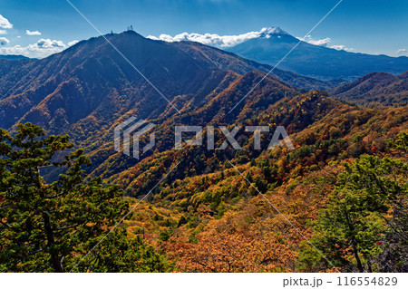 清八山から見る紅葉の三ツ峠と富士山 清八山から見る紅葉の三ツ峠と富士山 116554829