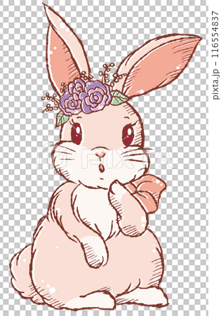 一隻可愛的粗糙兔子站立的插圖圖標，面朝前/有花，沒有陰影 116554837
