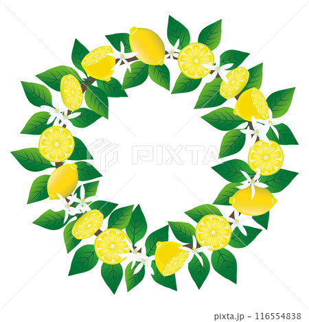 レモンのリング装飾フレーム レモンのリング装飾フレーム 116554838