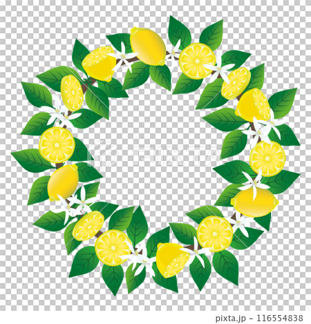 檸檬環裝飾框 檸檬環裝飾框 116554838