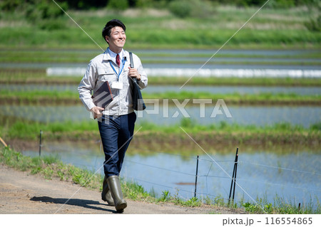 田んぼを歩く職員 116554865