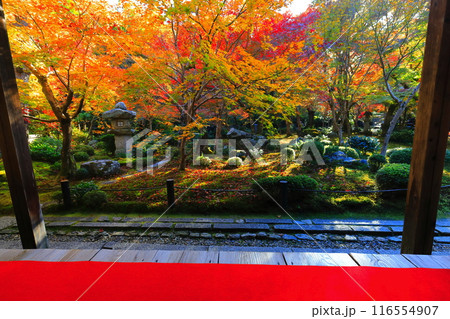 【京都府】圓光寺の額縁庭園の紅葉（十牛之庭） 116554907