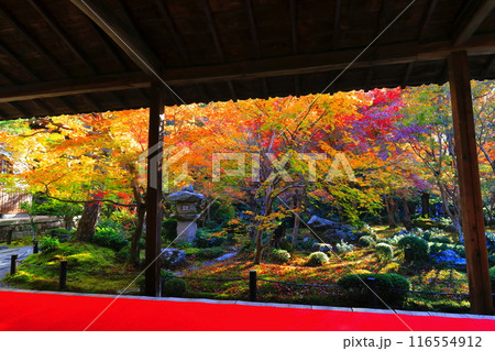 【京都府】圓光寺の額縁庭園の紅葉（十牛之庭） 116554912