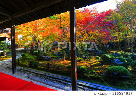 【京都府】圓光寺の額縁庭園の紅葉（十牛之庭） 116554917