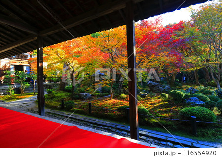 【京都府】圓光寺の額縁庭園の紅葉(十牛之庭) 【京都府】圓光寺の額縁庭園の紅葉(十牛之庭) 116554920