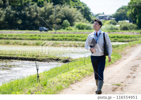 田んぼ道を歩くビジネスマン 116554951