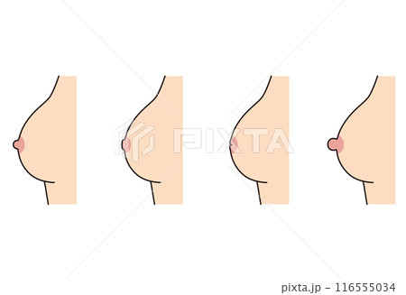 乳頭のかたち　乳首のタイプ　種類 116555034