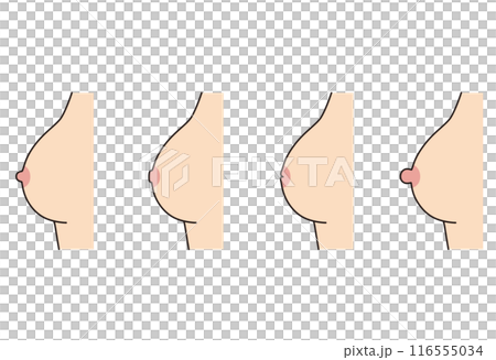 乳頭のかたち　乳首のタイプ　種類 116555034