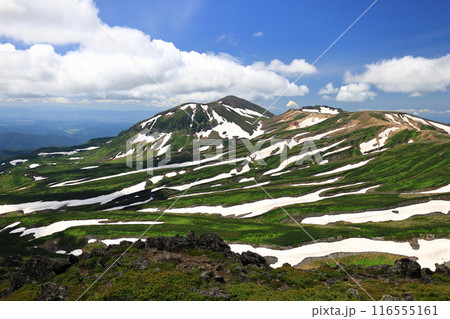 夏の大雪山　白雲岳　山頂から旭岳を望む　ゼブラ模様 116555161