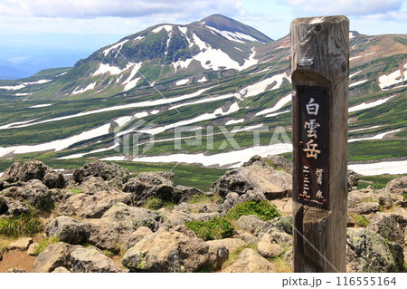 夏の大雪山　白雲岳　山頂から旭岳を望む　ゼブラ模様と山頂標識 116555164