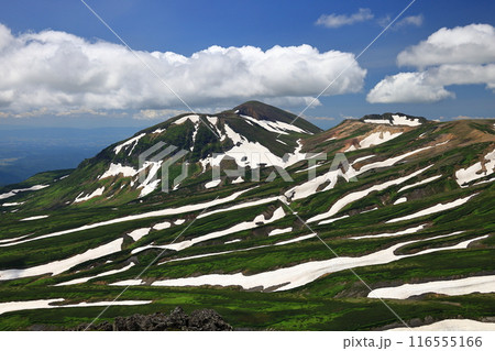 夏の大雪山　白雲岳　山頂から旭岳を望む　ゼブラ模様 116555166