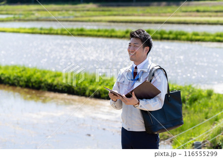 田んぼと職員 田んぼと職員 116555299