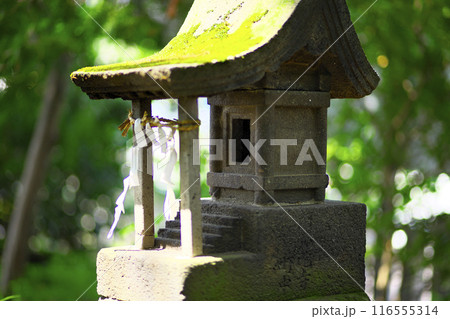 前橋市:上野國総鎮守 総社神社 116555314