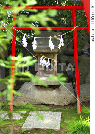 前橋市:上野國総鎮守 総社神社 116555316