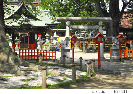 前橋市:上野國総鎮守 総社神社 前橋市:上野國総鎮守 総社神社 116555332