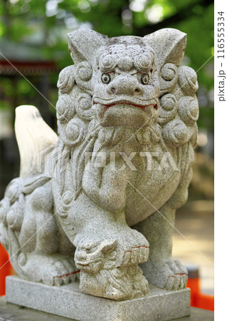 前橋市:上野國総鎮守 総社神社 116555334