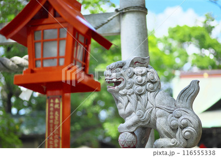 前橋市:上野國総鎮守 総社神社 116555338
