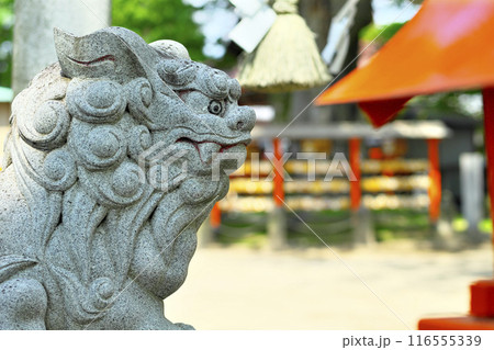 前橋市:上野國総鎮守 総社神社 116555339