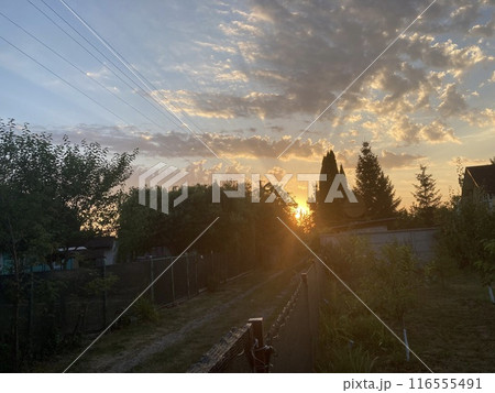 Clouds at sunset on a hot summer day 116555491