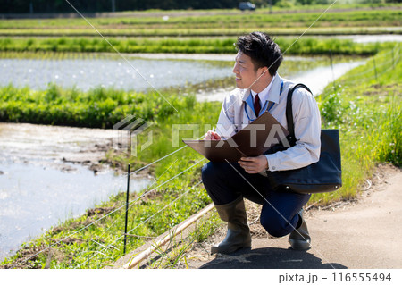 田んぼと職員 116555494